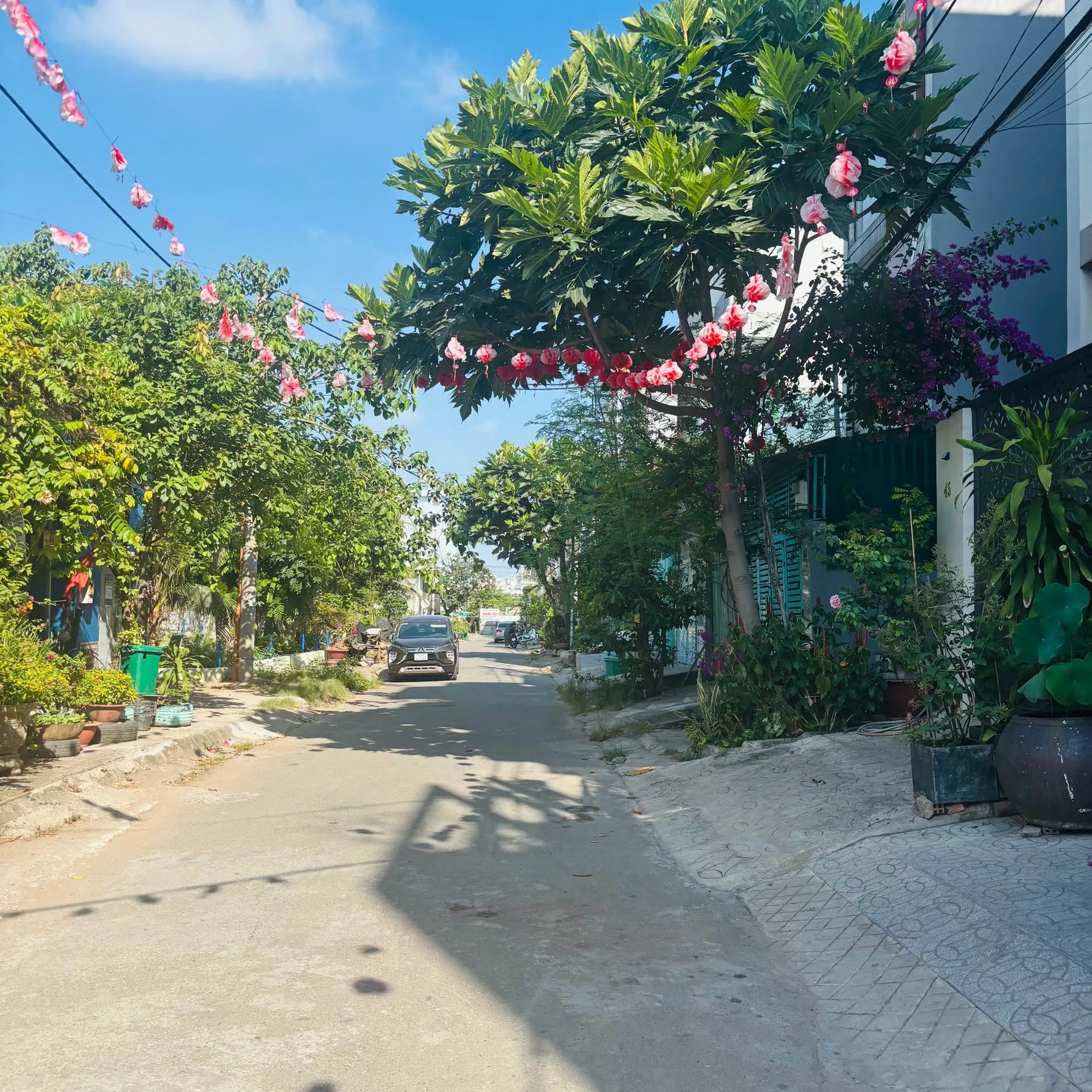 MẶT TIỀN ĐƯỜNG NHÁNH PHẠM THẾ HIỂN P.7 Q.8 – BÁN ĐẤT TẶNG NHÀ – DÀI 22M – GIÁ 6.18 TỶ