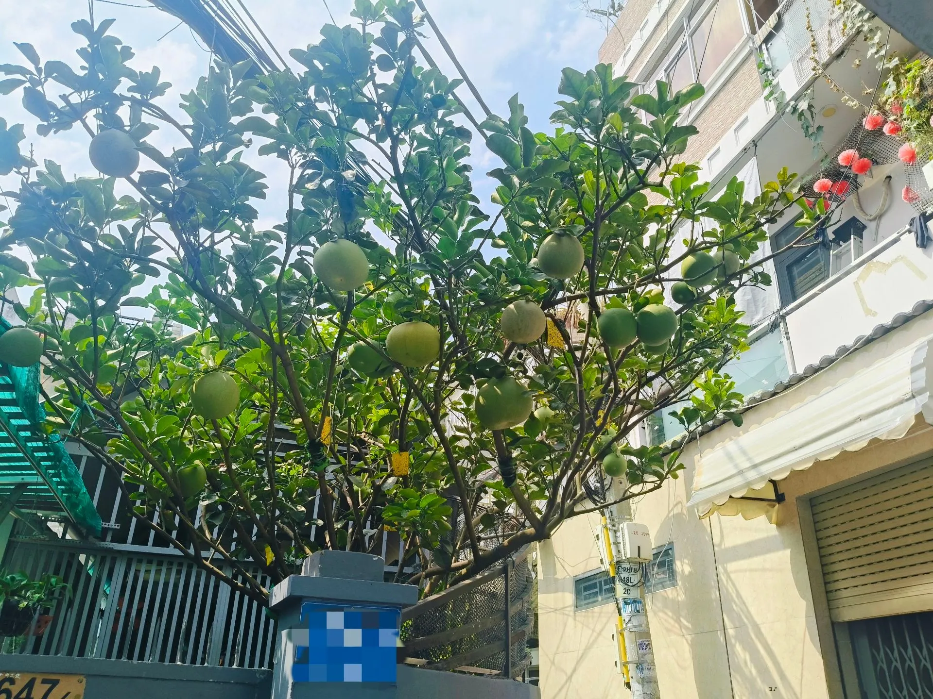 SÁT MẶT TIỀN PHẠM THẾ HIỂN P.6 Q.8 – GẦN PEGASUITE – NGANG KHỦNG 6.5M – GIÁ 4.2 TỶ